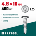 KRAFTOOL 16 х 4.8 мм, 400 шт., нержавеющие саморезы DS-P с полукруглой головкой 300931-48-016