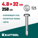 KRAFTOOL 32 х 4.8 мм, 250 шт., нержавеющие саморезы НС-ПК с полукруглой головкой 300931-48-032