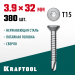 KRAFTOOL 32 х 3.9 мм, 380 шт., нержавеющие саморезы НС-П с потайной головкой 300932-39-032