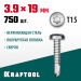 KRAFTOOL 19 х 3.9 мм, 750 шт., нержавеющие саморезы НС-ПК с полукруглой головкой 300931-39-019